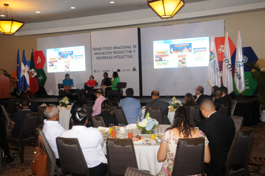 En el foro participaron representantes de instituciones de República Dominicana y Haití, así como cooperantes internacionales. 