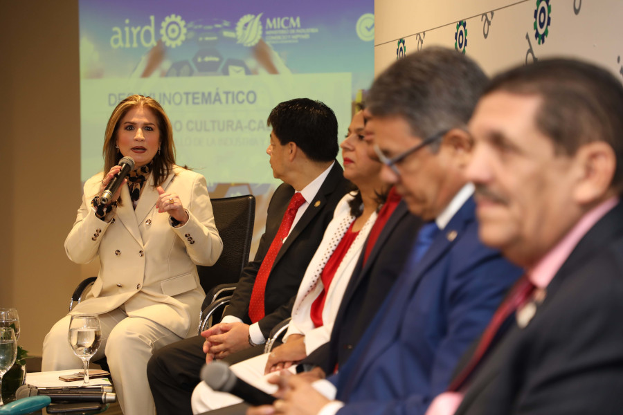 Circe Almánzar, vicepresidenta de la AIRD, tuvo a su cargo la moderación del panel. 