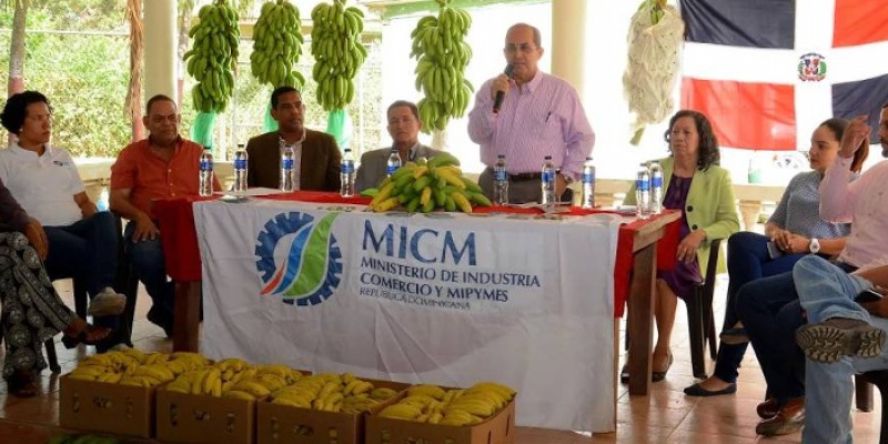 MICM anuncia asistencia para desarrollar productos derivados del banano