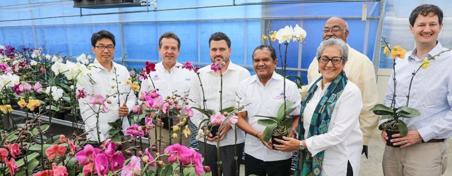 Bisonó visita y da apoyo a empresa productora de orquídeas