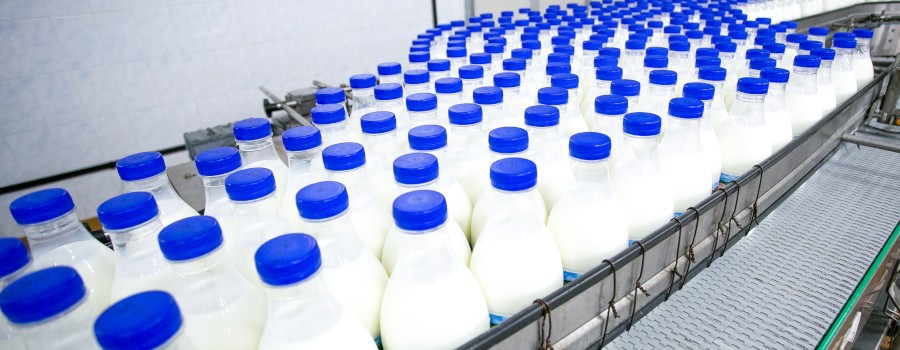 Región del Cibao concentra el 40% de las 180 industrias lácteas en RD; aportan 4,300 empleos