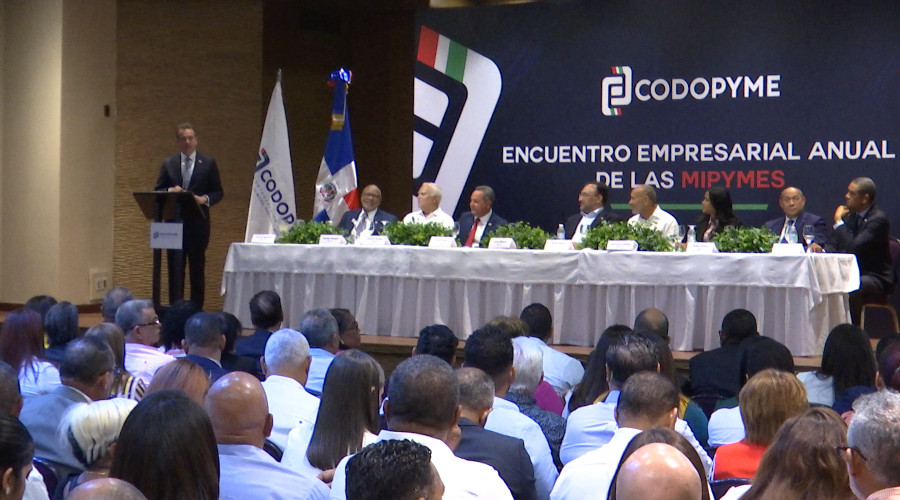 Gobierno facilita RD millones para financiar 160 mil emprendedores dominicanos; 66% son de mujeres